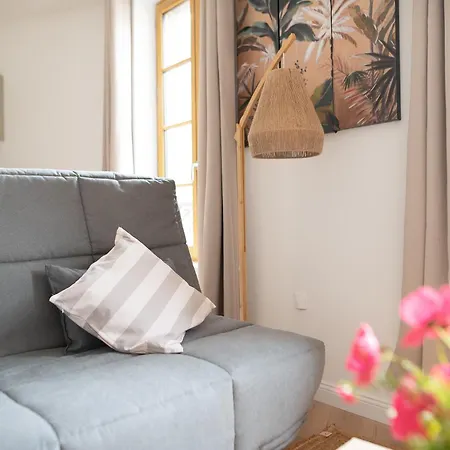 Le Phoenix - T3 Centre Clim Daire Albi