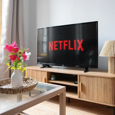 Daire Le Phoenix - T3 Centre Clim Albi