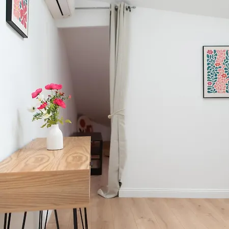 Daire Le Phoenix - T3 Centre Clim Albi